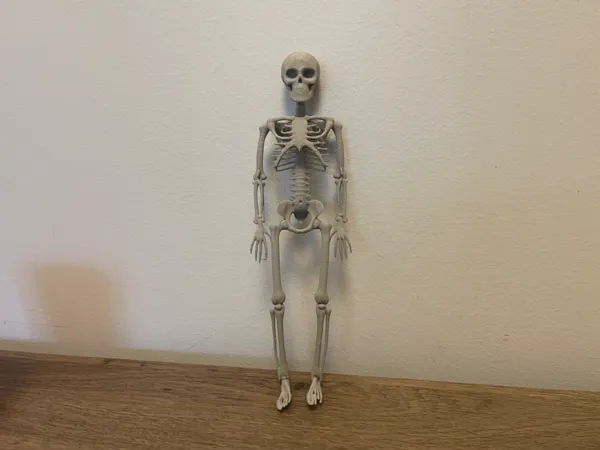 https://makerworld.bblmw.com/makerworld/model/US1c090aedc40a13/design/2025-10-09_86280340708a3.png