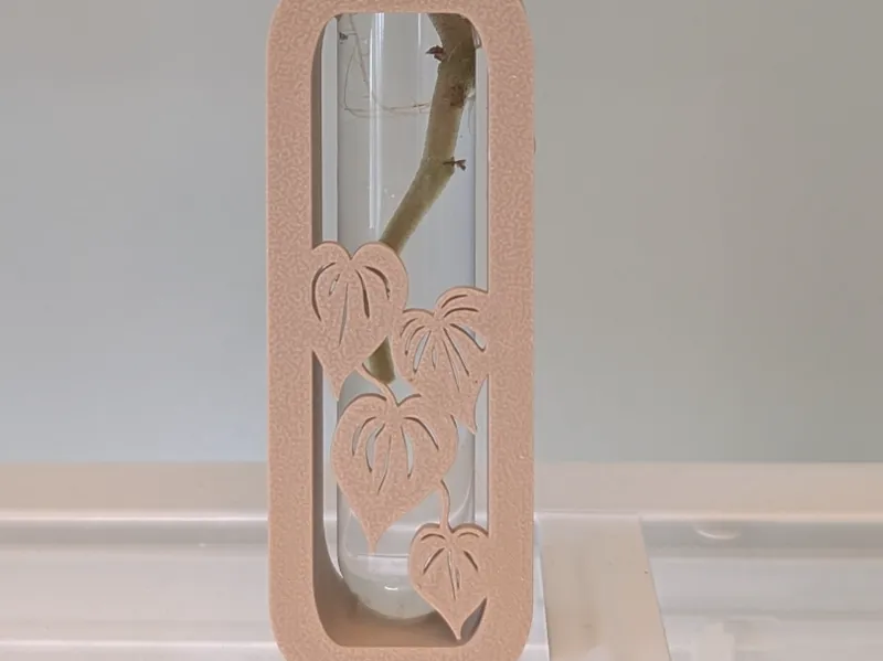 Propagation Test Tube Stand- Heartleaf 