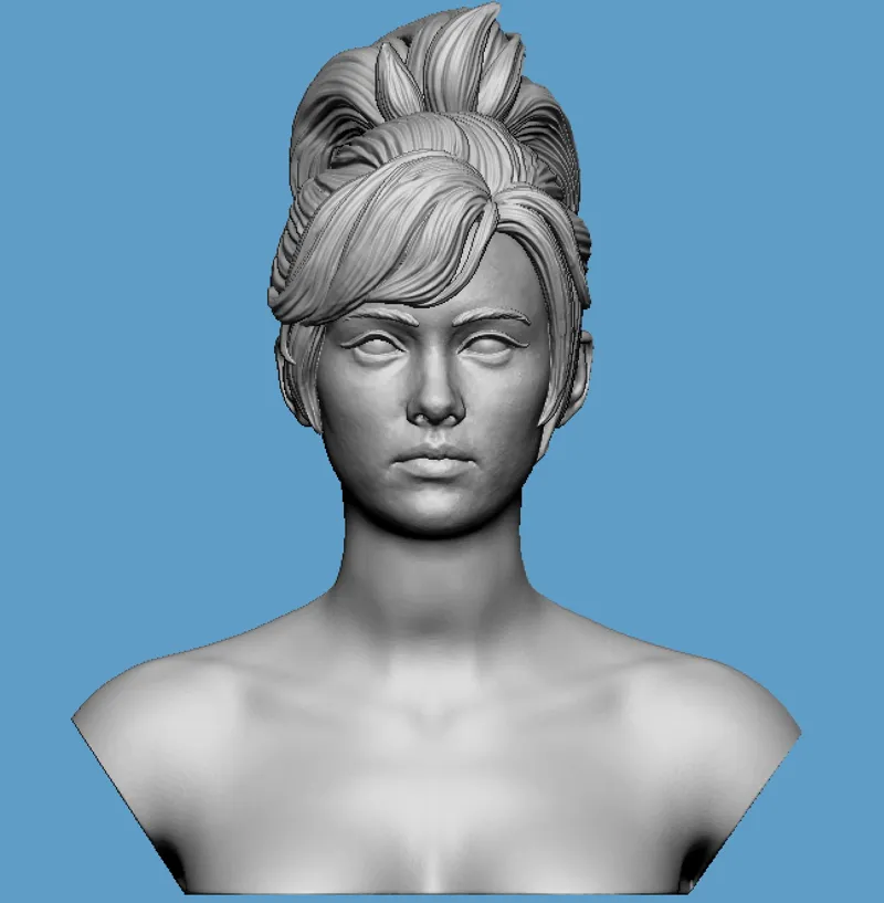 4 different hairstyle Female bust 