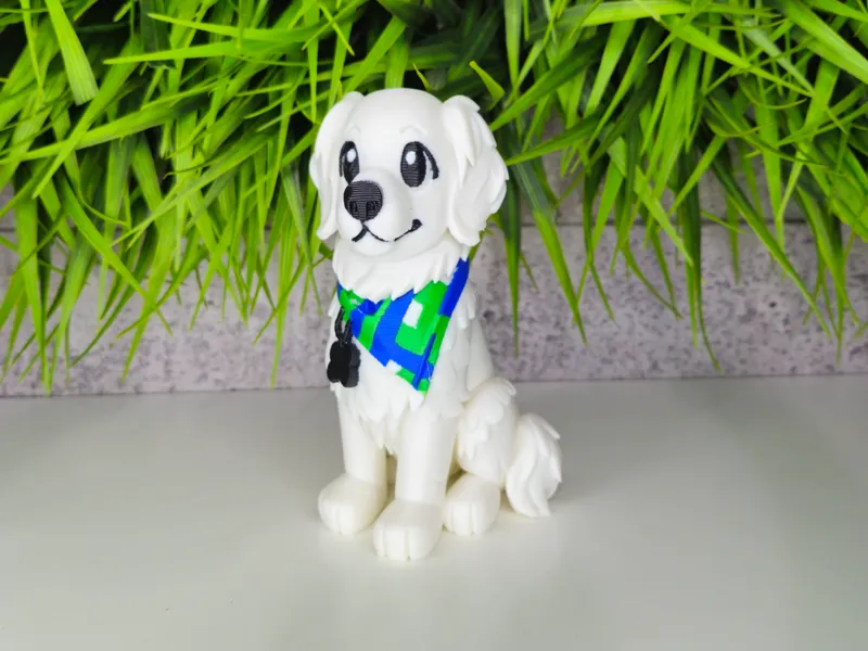 Cute dog