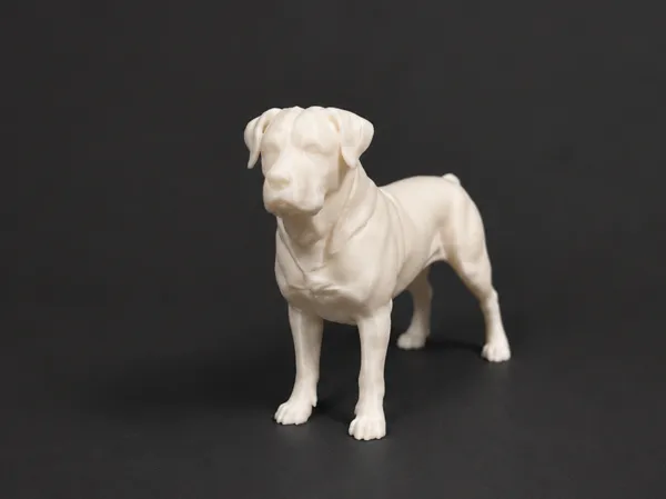 https://makerworld.bblmw.com/makerworld/model/US1c12a78981539a/design/d23deed7d2d10520.png