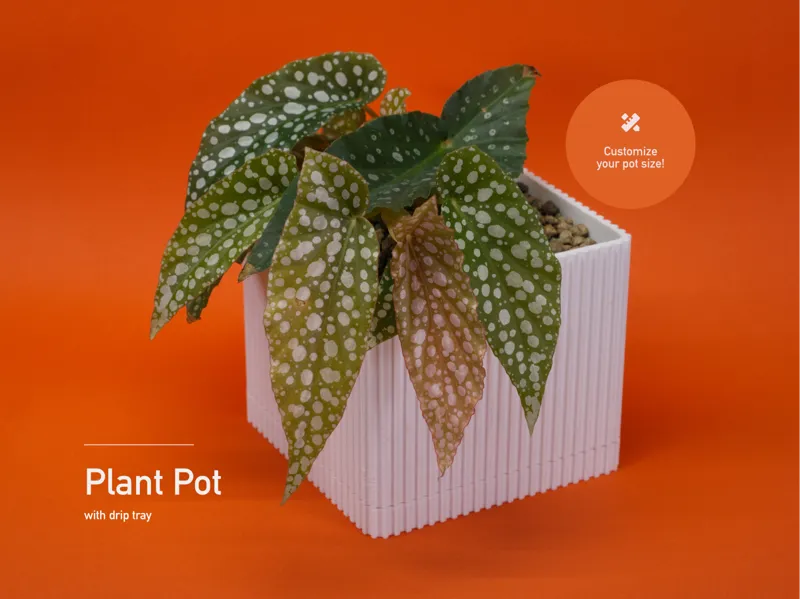 Plant Pot with Drip Tray (Customizable)