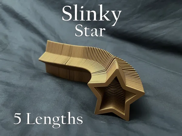 https://makerworld.bblmw.com/makerworld/model/US1c1b0806672f8e/design/2024-02-03_94a9c2039c6f9.png