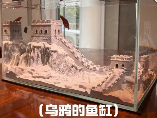 https://makerworld.bblmw.com/makerworld/model/US1c1c176d69a8c1/design/2026-01-07_398f8aad78c0a8.jpg
