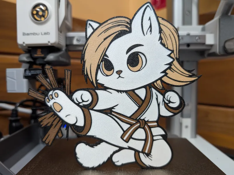 Karate Cat