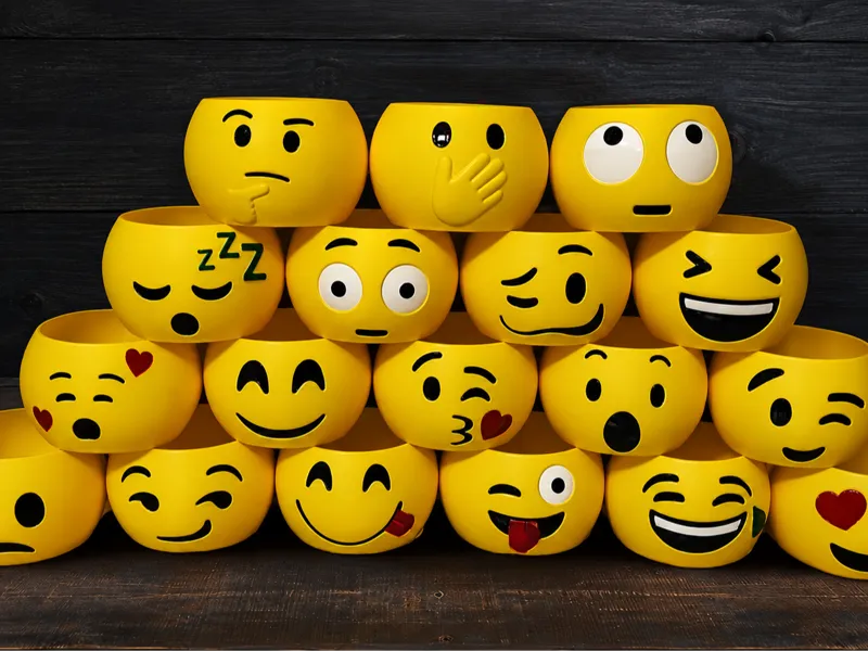 Emoji Plant Pot / Regular Pot set! Desk Ornaments