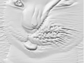 meme cat
