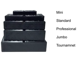Customizable Dominos