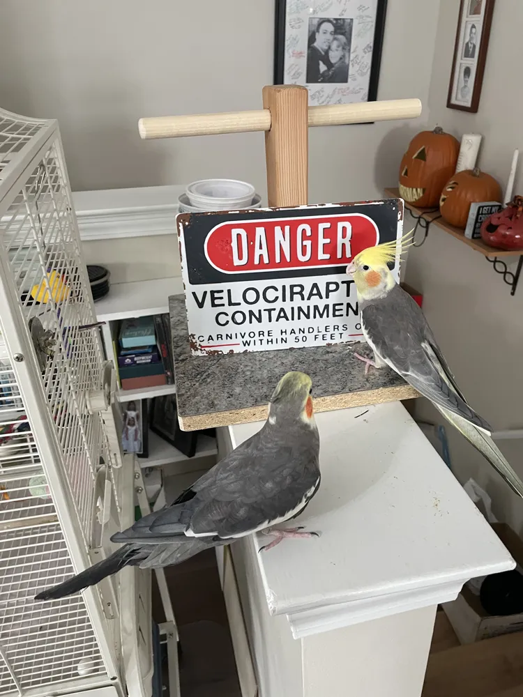 Velociraptor Containment Sign by MattInDetroit MakerWorld: Download ...