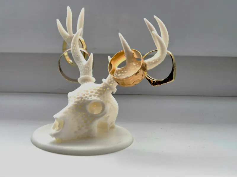 Perforated Deer Skull – Jewelry decorative Stand
