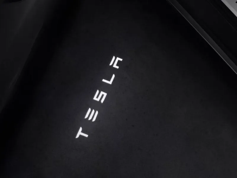 Tesla Puddle Lights Removal Tool