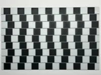 Café Wall Illusion
