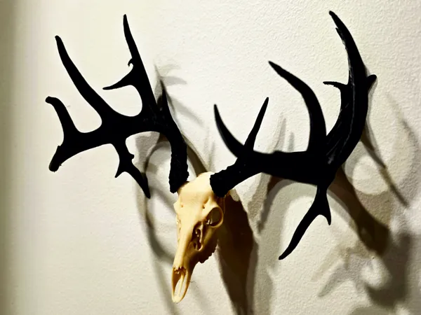 https://makerworld.bblmw.com/makerworld/model/US1c38de5aade111/design/5b127d40b6c02380.jpg