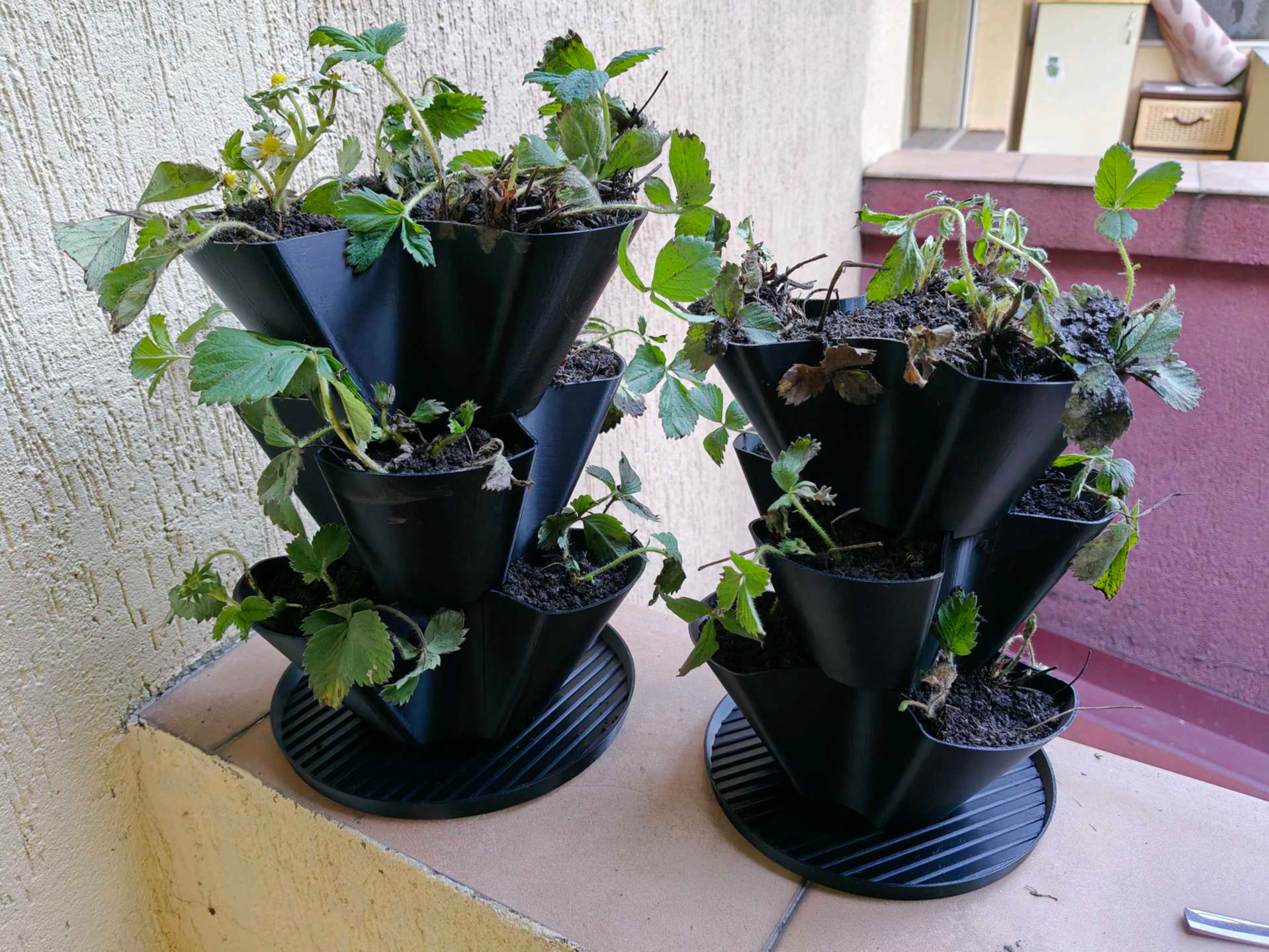 Strawberry Planter Pot Vertical Flower 
