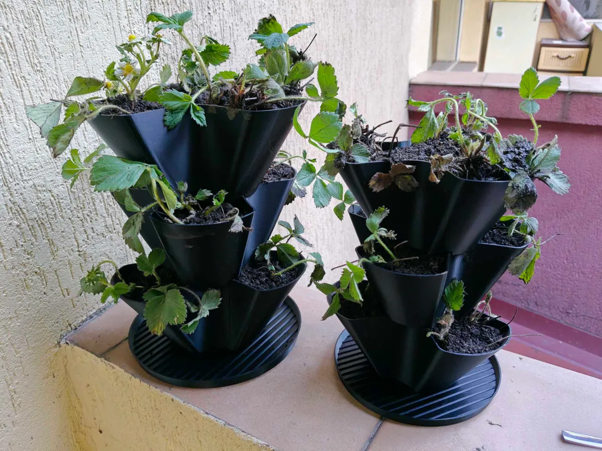 Hidroponik Kule Mini