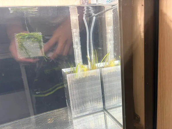 https://makerworld.bblmw.com/makerworld/model/US1c41e788d06584/design/2025-11-14_e3b5959f0f1c38.jpeg