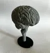 0.2mm layer, 2 walls, 5% infill