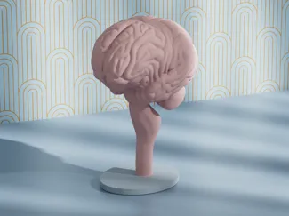 BRAIN