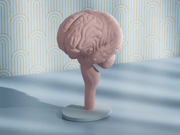 https://makerworld.bblmw.com/makerworld/model/US1c42d1e6a0974e/design/4bb624b067c175d8.png