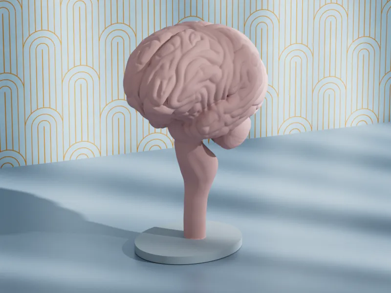 BRAIN