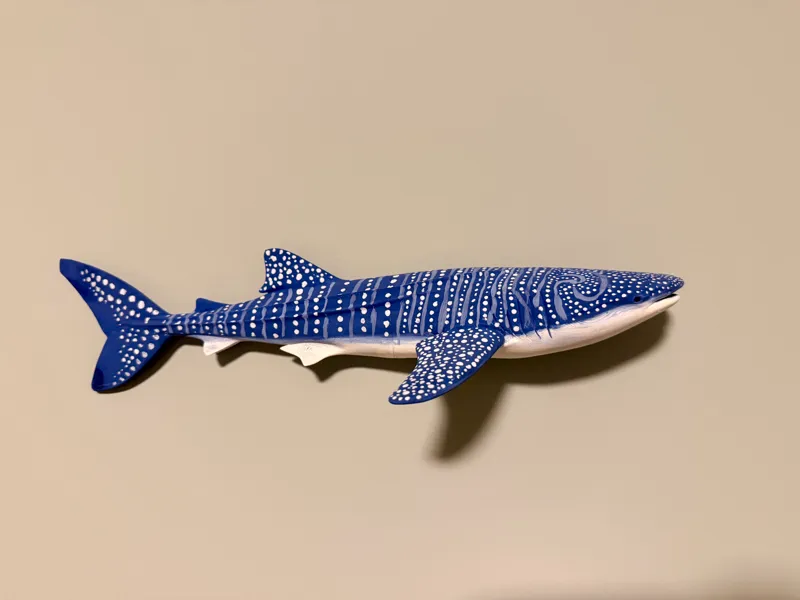 whale shark