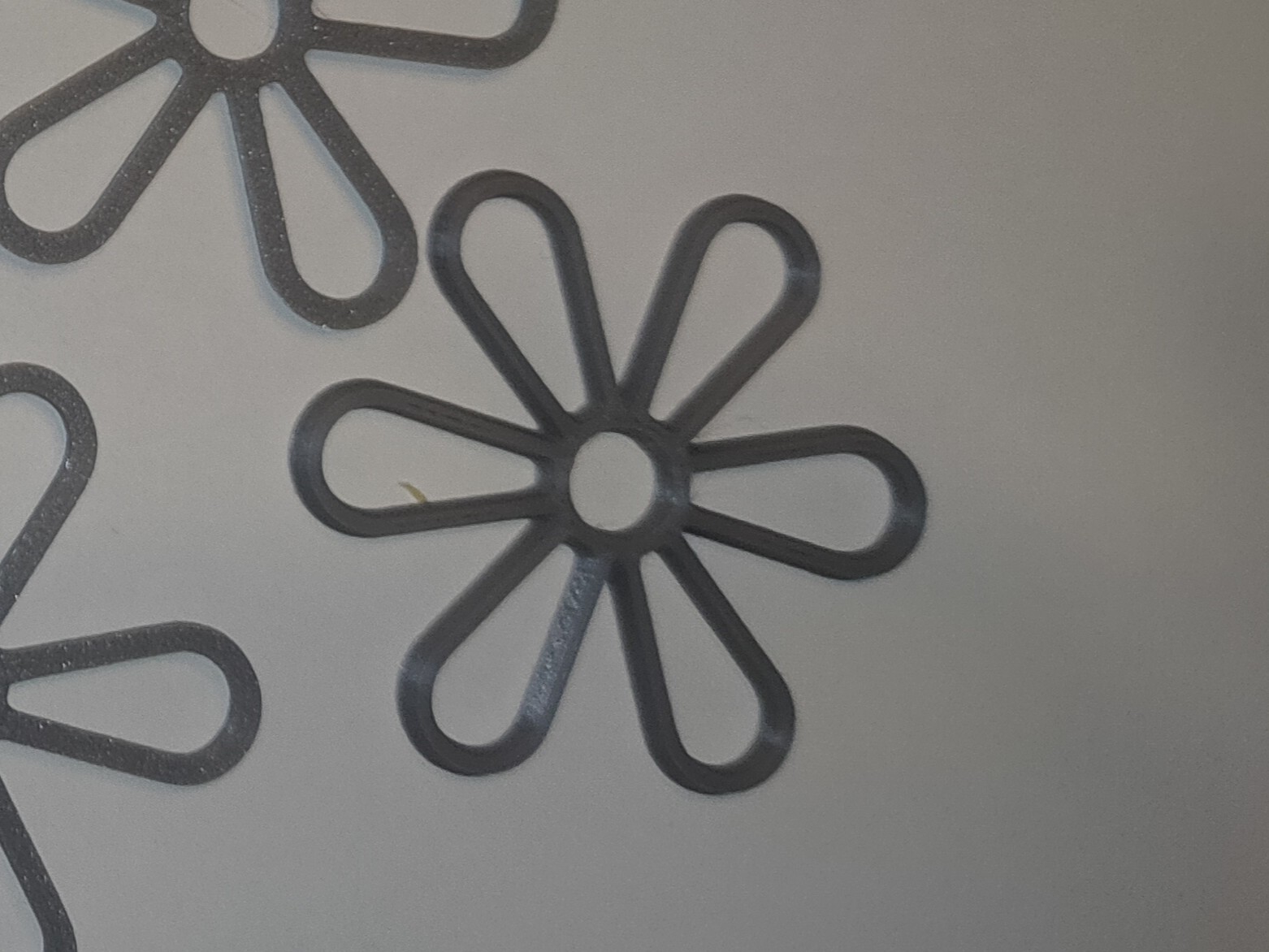 Filled with 6 petals flowers