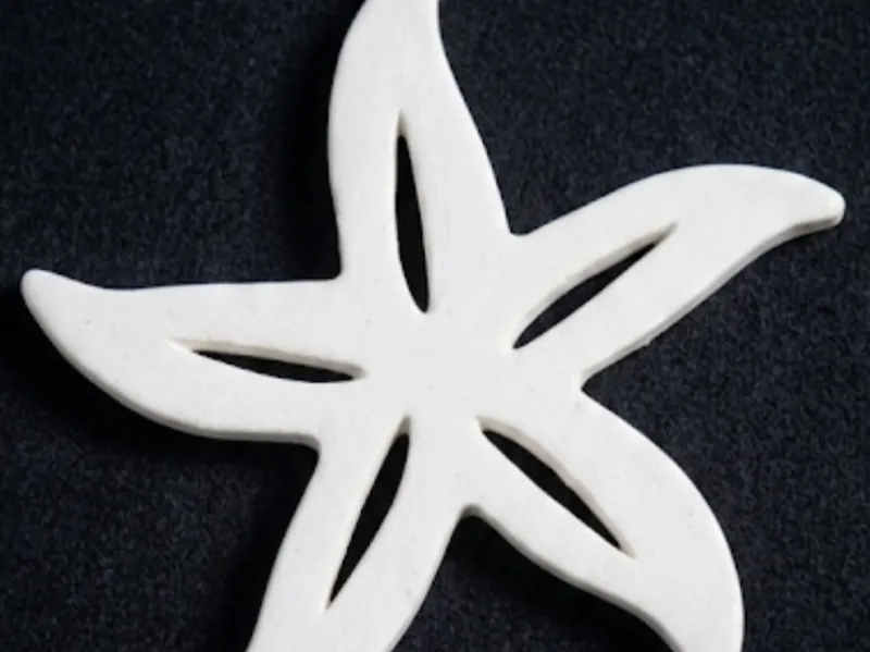ESTRELLA DE MAR 