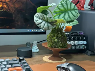 高脚花碟