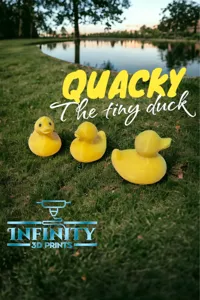Quacky le tout petit canard — photo 2