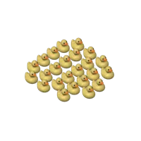 Quacky le tout petit canard — photo 6