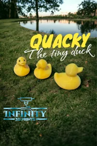 Quacky le tout petit canard — photo 1