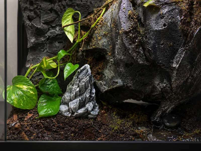 terrarium hardscape terrain