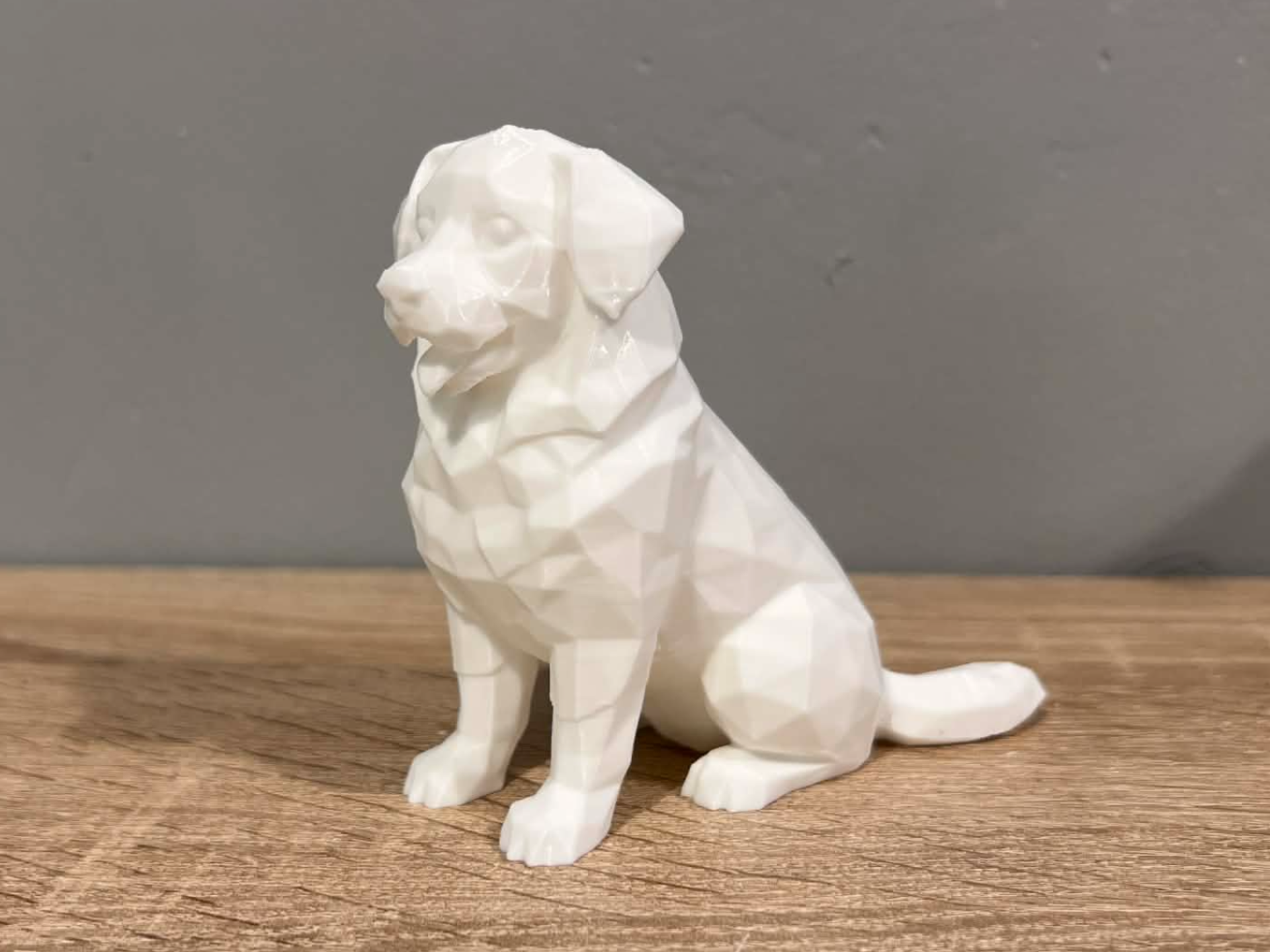 Sitting Bernese Mountain Dog - Low Poly - Animal