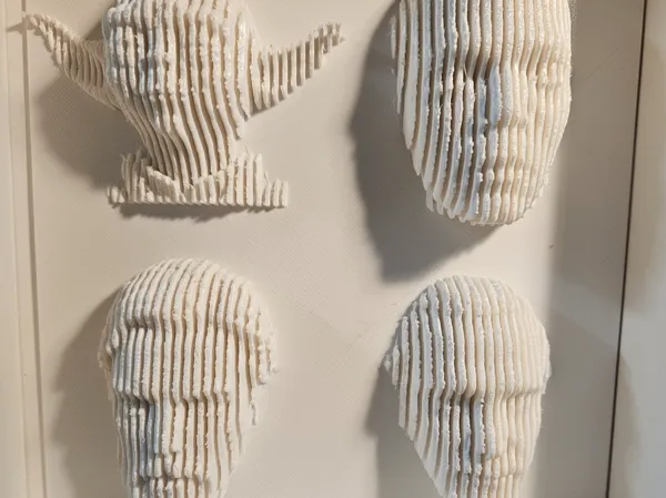 https://makerworld.bblmw.com/makerworld/model/US1c610ebfca07b4/design/2025-02-26_04f4af05553c7.jpg
