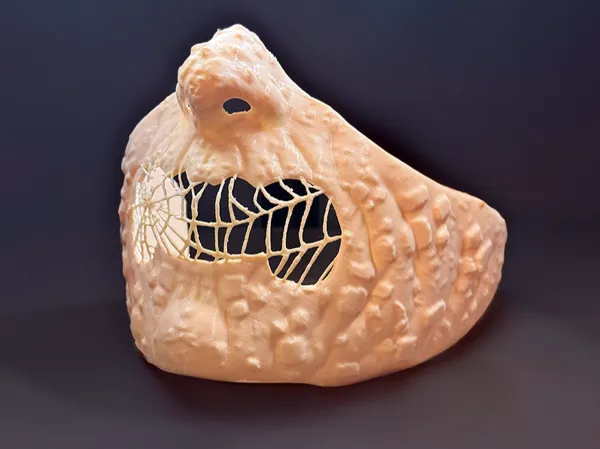 https://makerworld.bblmw.com/makerworld/model/US1c628264328bef/design/2024-10-27_6fa0f1cbef2a8.png