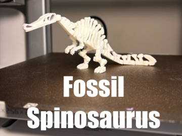 Fossil Spinosaurus - 1