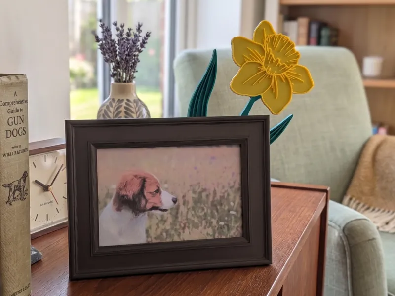 Picture frame with Narcissus