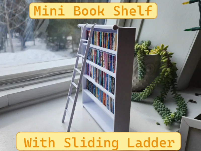 Mini Book Shelf With Sliding Ladder