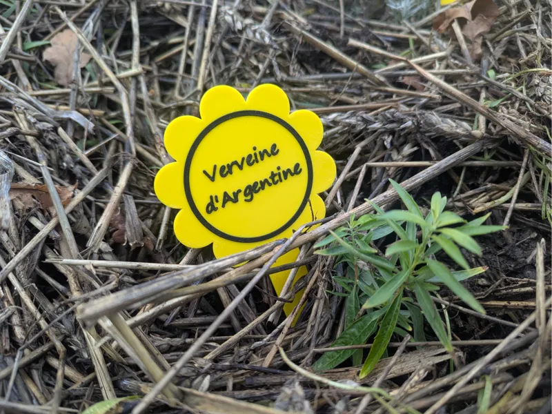 Marque-plante en forme de fleur