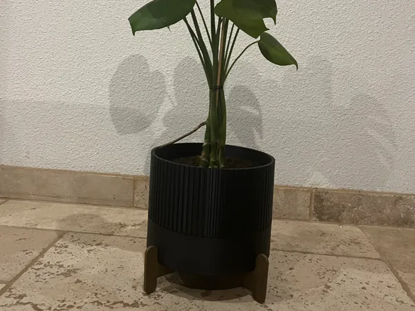 https://makerworld.bblmw.com/makerworld/model/US1c79f6c5630835/design/2025-06-13_76c6459185714.jpg