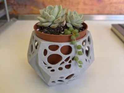 Geometric Voronoi Plant Pot
