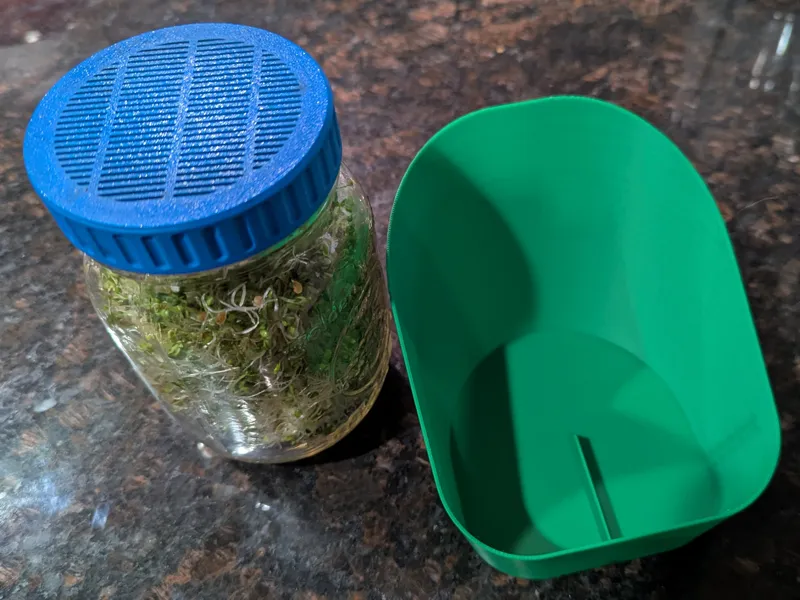Sprouting seed jar lid and tray / holder