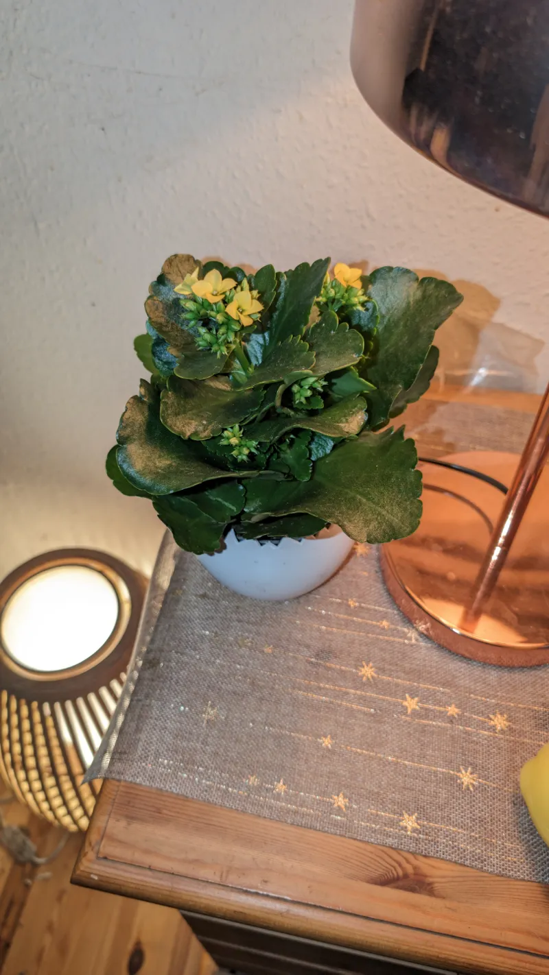 easter egg vase