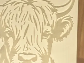 Highland Cow Night Light