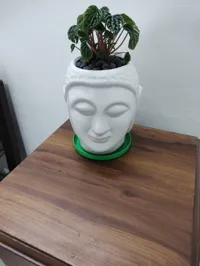 Soucoupe pour pot de plante — photo 5