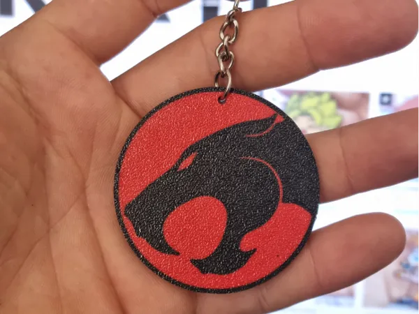 https://makerworld.bblmw.com/makerworld/model/US1c8425aab864b/design/2024-08-17_7766e3319c187.jpg