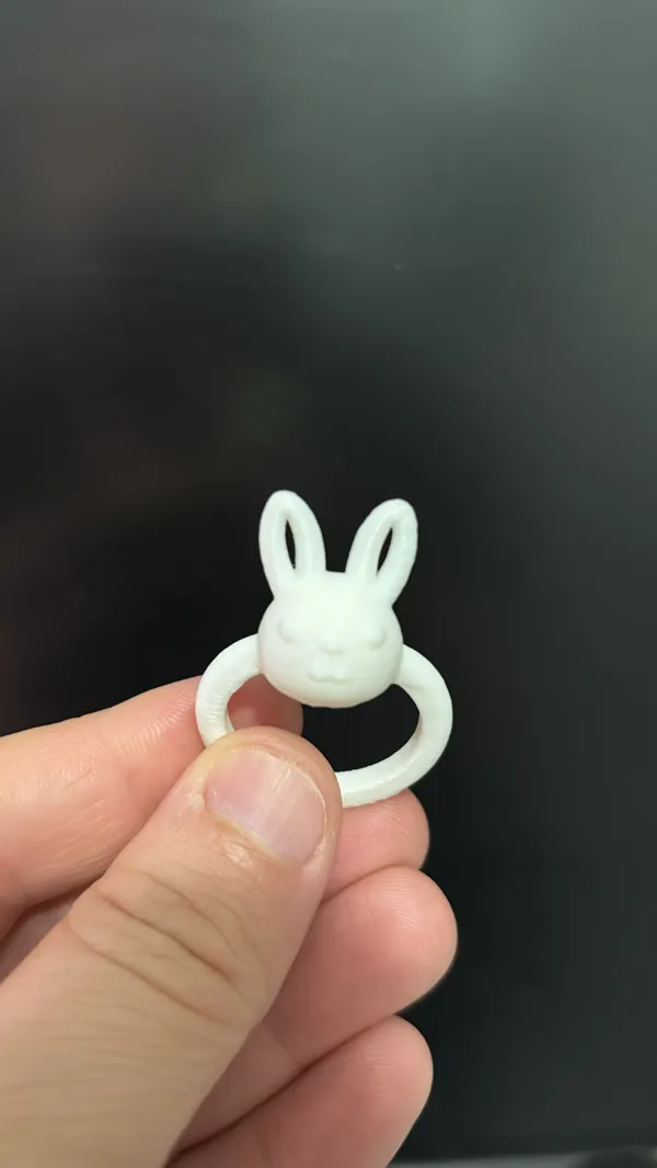 https://makerworld.bblmw.com/makerworld/model/US1c846939eebb1/design/2024-12-13_ac9d9187edeab.jpg