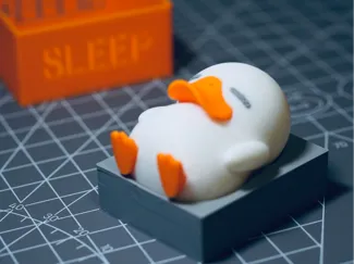 Sleeping Duck