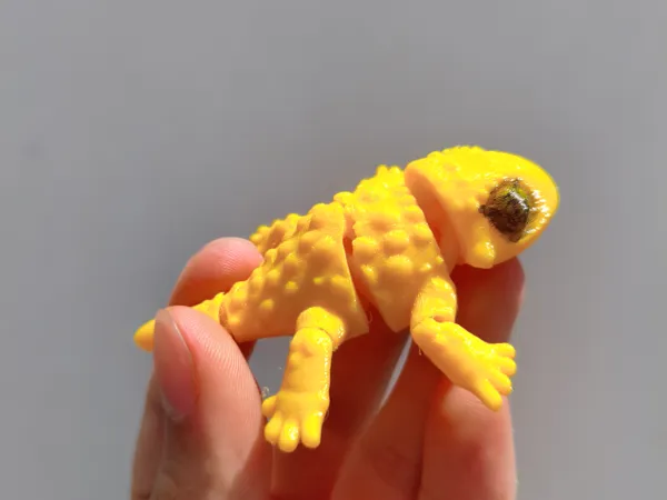 https://makerworld.bblmw.com/makerworld/model/US1c88af4a0d2bda/design/90f7dabaf734dd77.jpg