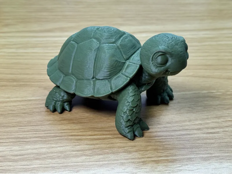 Schildkröte